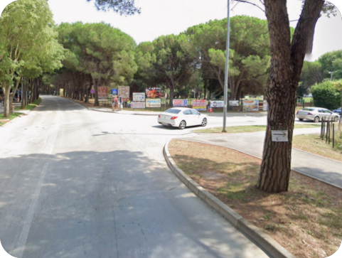 Arboristi od ponedjeljka u Medulinu započinju orezivanje 50 stabala-156363