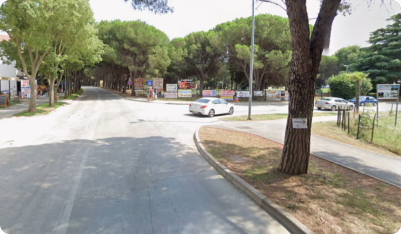 Arboristi od ponedjeljka u Medulinu započinju orezivanje 50 stabala-156363