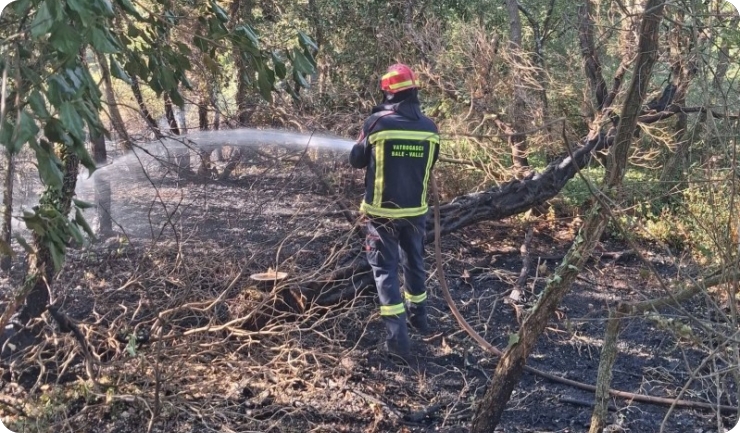Šumski požar uz cestu Krmed–Smoljanci-162577