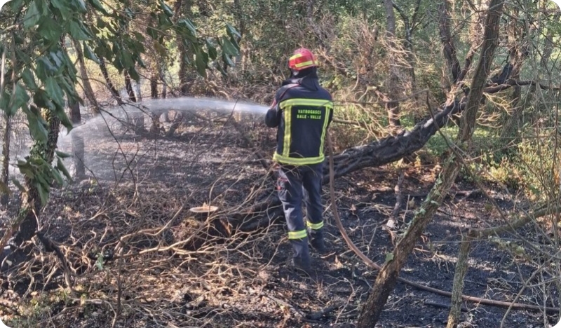 Šumski požar uz cestu Krmed–Smoljanci-162577