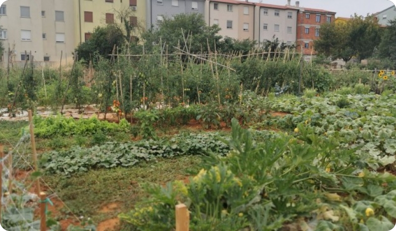 Pozivaju se građani Pule da potpišu Ugovor za korištenje urbanih vrtova-123245
