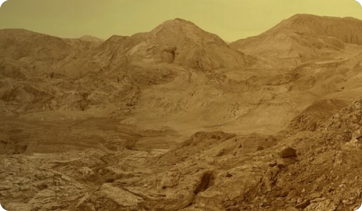 Upoznajmo starletana i starletu-127647